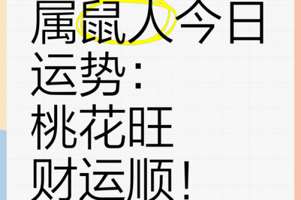 属鼠5月出生的人命运分析：智慧与机遇的结合