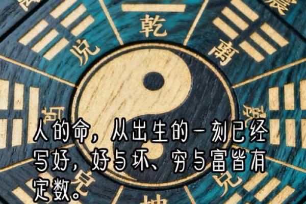 揭秘阴历一月一日出生的命格：财富与机遇的双重舞台