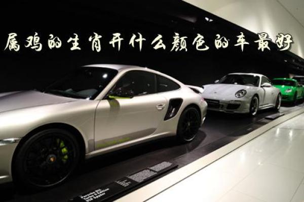 木命女性选择车色的完美指南:开出幸运与风水的双重美丽 木命女性选择车色的完美指南:开出幸运与风水的双重美丽