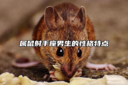 属鼠男射手男命运解析：阳光与智谋的完美结合