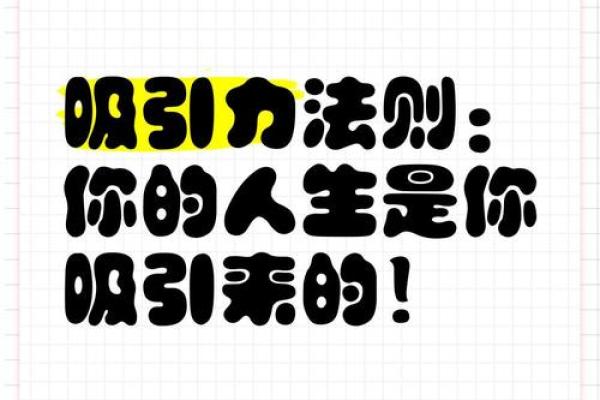 视线如命,探索关注力的力量与人生的意义 视线如命,探索关注力的力量与人生的意义