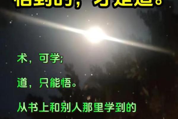 揭秘弱木命:命理中的柔韧与智慧之道 揭秘弱木命:命理中的柔韧与智慧之道