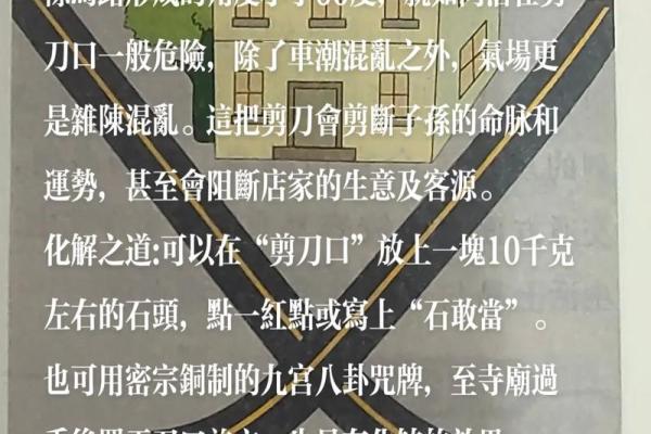 揭秘弱木命:命理中的柔韧与智慧之道 揭秘弱木命:命理中的柔韧与智慧之道