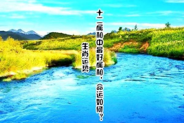 女性生肖命理：揭示属相的内涵与命运之路