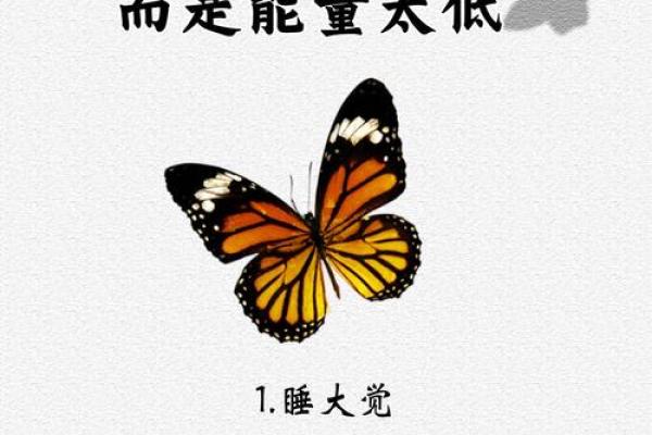 男命八字懒惰的深层原因与改变之道 男命八字懒惰的深层原因与改变之道