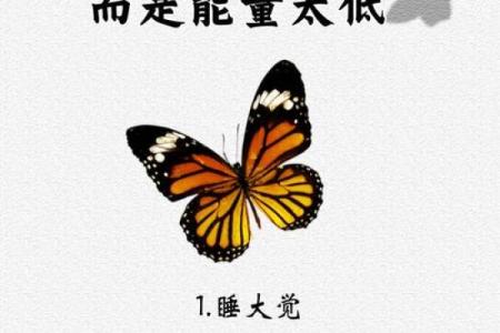 男命八字懒惰的深层原因与改变之道