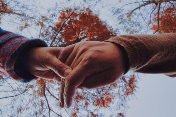 木鸡命:寻找完美配偶的五大秘诀 木鸡命:寻找完美配偶的五大秘诀