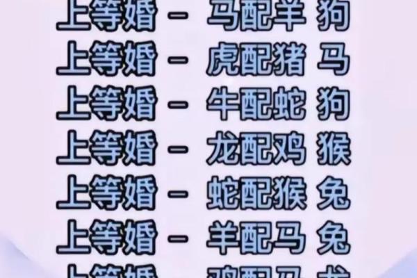 生肖女天生贵族命：为何她们注定非凡？