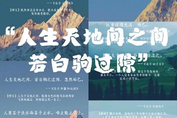 平等之命：探寻命格背后的深意与人生智慧