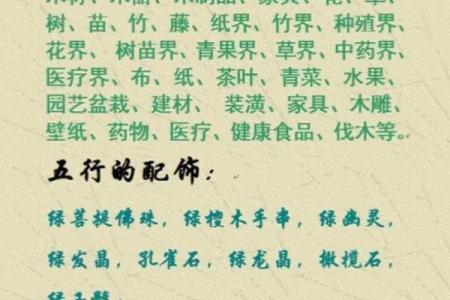 木命者的职业选择：探索最适合的行业与发展方向