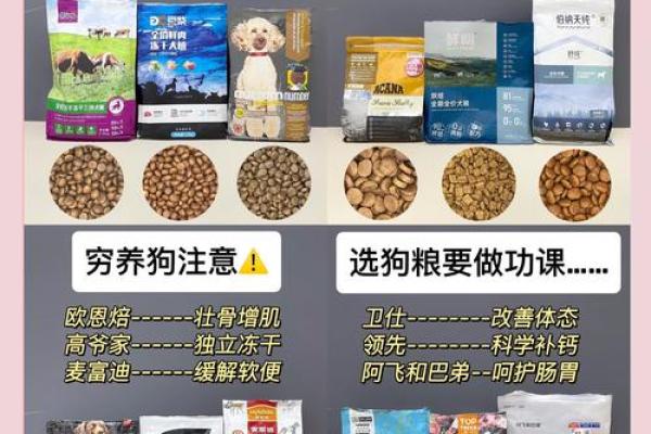 关爱狗狗，选对狗粮让它们健康快乐！