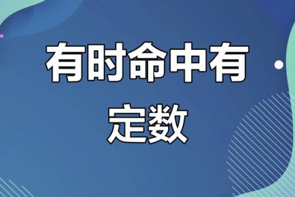 命里的定数:揭示每个人生命中的秘密与潜力 命里的定数:揭示每个人生命中的秘密与潜力