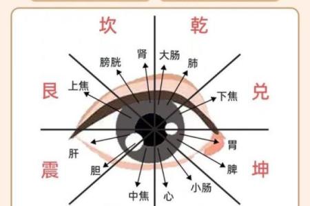 如何通过观察眼睛来探测一个人的命运和性格特征