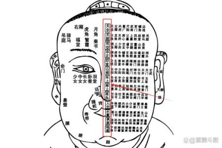 面相学：揭示贪财命的良好男命特征与解析