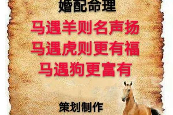 56岁后生肖马最佳命运：如何把握人生的黄金时期