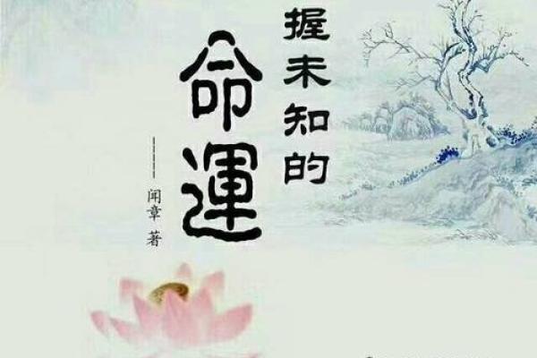 桑杯木命人交运的时机与生命之旅