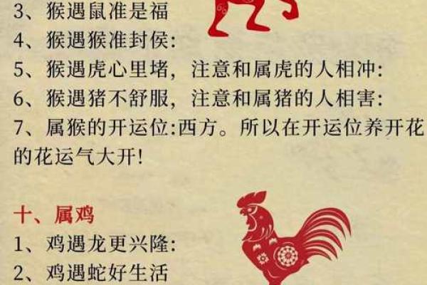 生肖与命运的奥秘:探索十二属相的力量与影响 生肖与命运的奥秘:探索十二属相的力量与影响