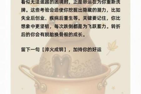 沙中金命：如何选择适合的方向开启人生新篇章