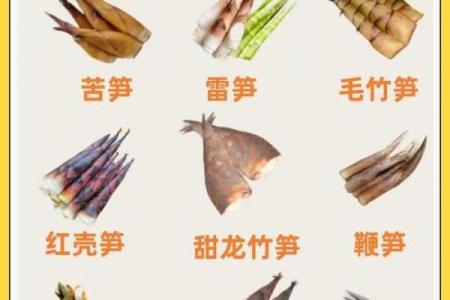 木命之人：最佳出生季节大揭秘，你知道吗？