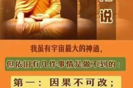 和尚命与尼姑命：探秘佛教徒的命运之旅与内心平和