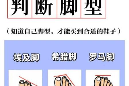 根据什么脚型注定什么命，解读脚下的命运之路！