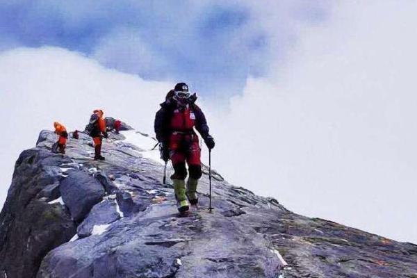 解密山下虎命:与什么命最为契合? 解密山下虎命:与什么命最为契合?