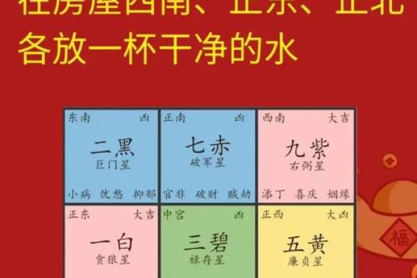 2022年属龙人的命运与风水:探索成就与挑战之路 2022年属龙人的命运与风水:探索成就与挑战之路