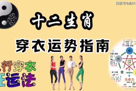 男命木旺：穿什么颜色助旺运势，提升生活质量