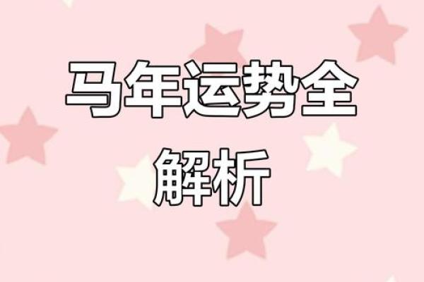 属马之人：凌晨5点出生，命运的独特轨迹与人生智慧