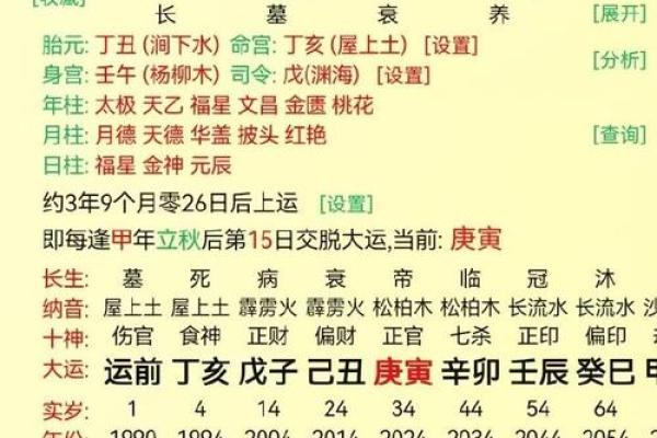解析辛未年癸巳丙戌命理：揭示命运背后的奥秘