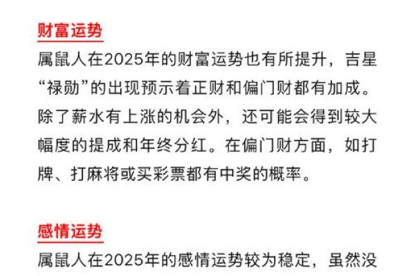 2022年鼠年命格解析：探寻属鼠之人的性格与命运