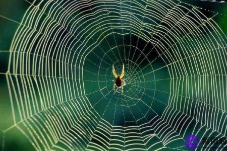 男命犯天罗地网：命运的纠结与解脱之路