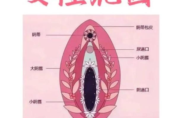 揭开女命风流的秘密：如何理解与提升女性魅力