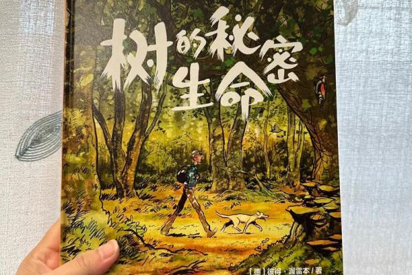 根据什么命的孩子要认树当妈：探寻人与自然的奇妙联系