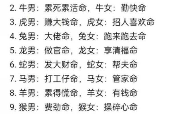 属马人八字命理解析：揭示您的命运与个性之谜