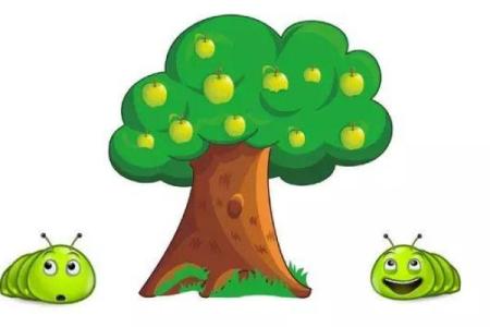 根据什么命的孩子要认树当妈：探寻人与自然的奇妙联系