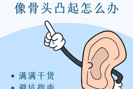 耳朵硬的命好：为什么听从内心更能赢得幸福与成功