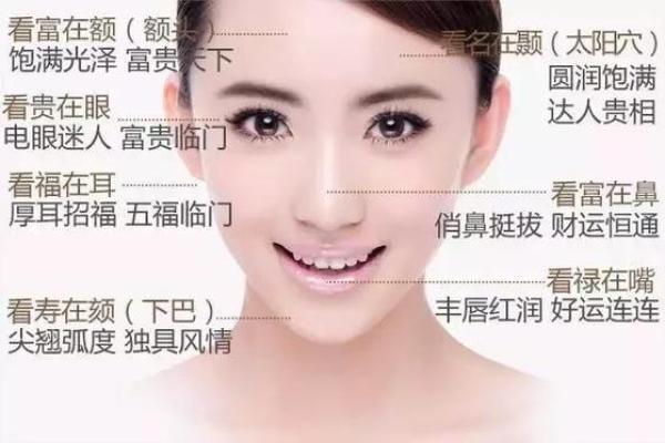 适合旺夫命的女明星脸型——解密面相与命理的关系