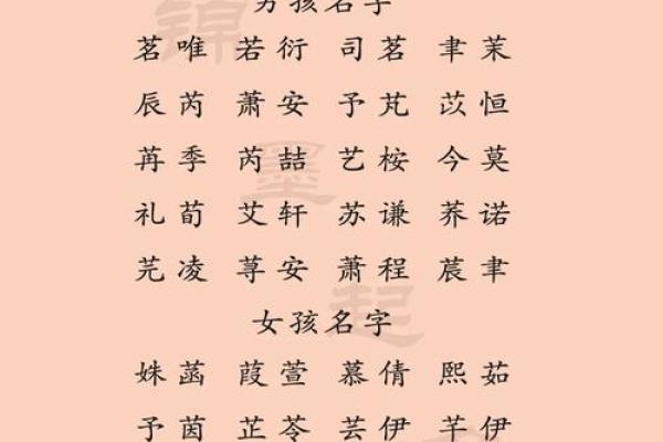 平地命男孩名字取名秘籍:让孩子百事无忧的吉祥之名 平地命男孩名字取名秘籍:让孩子百事无忧的吉祥之名