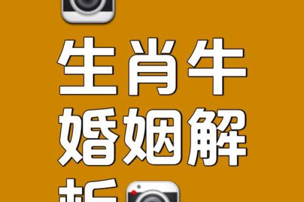 属牛申时出生的命理解析：财神眷顾、事业发展之道