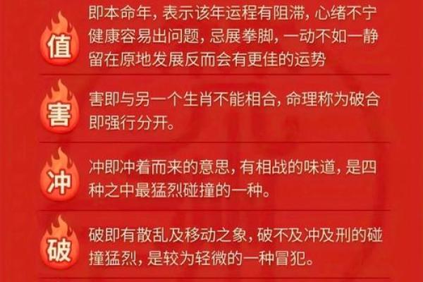 壬申日主五行解析:探寻隐藏在命理背后的智慧与力量 壬申日主五行解析:探寻隐藏在命理背后的智慧与力量