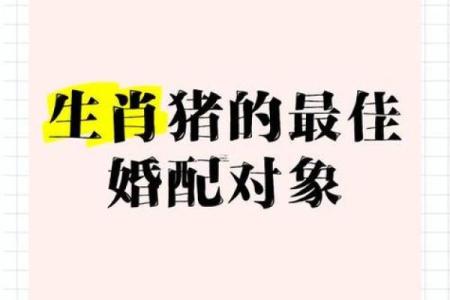 属猪的1995年，命中注定的福祉与挑战！