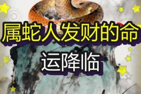 属蛇人2023年运势分析：34岁的重要转折与命运解析