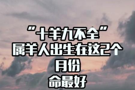 54岁后生肖羊的命运与人生启示：如何迎接新的辉煌！