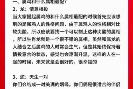 三月出生鸡人的命运解析：温暖与挑战共存的一生