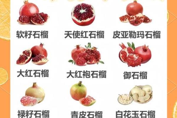 石榴木命的人适合用什么手机?选择指南与推荐! 石榴木命的人适合用什么手机?选择指南与推荐!