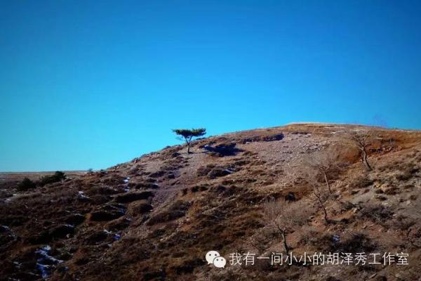 山头火命女的内心世界与生活喜好探秘 山头火命女的内心世界与生活喜好探秘