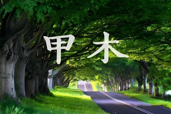 如何通过八字分析找到暖男——女命的幸福之道