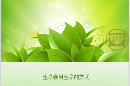 骆驼命：在生命旅程中寻求坚持与坚韧的智慧