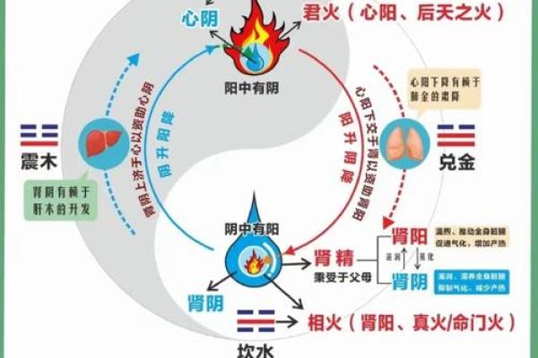 金命与天上火命的奇妙关系：如何运用五行之道？
